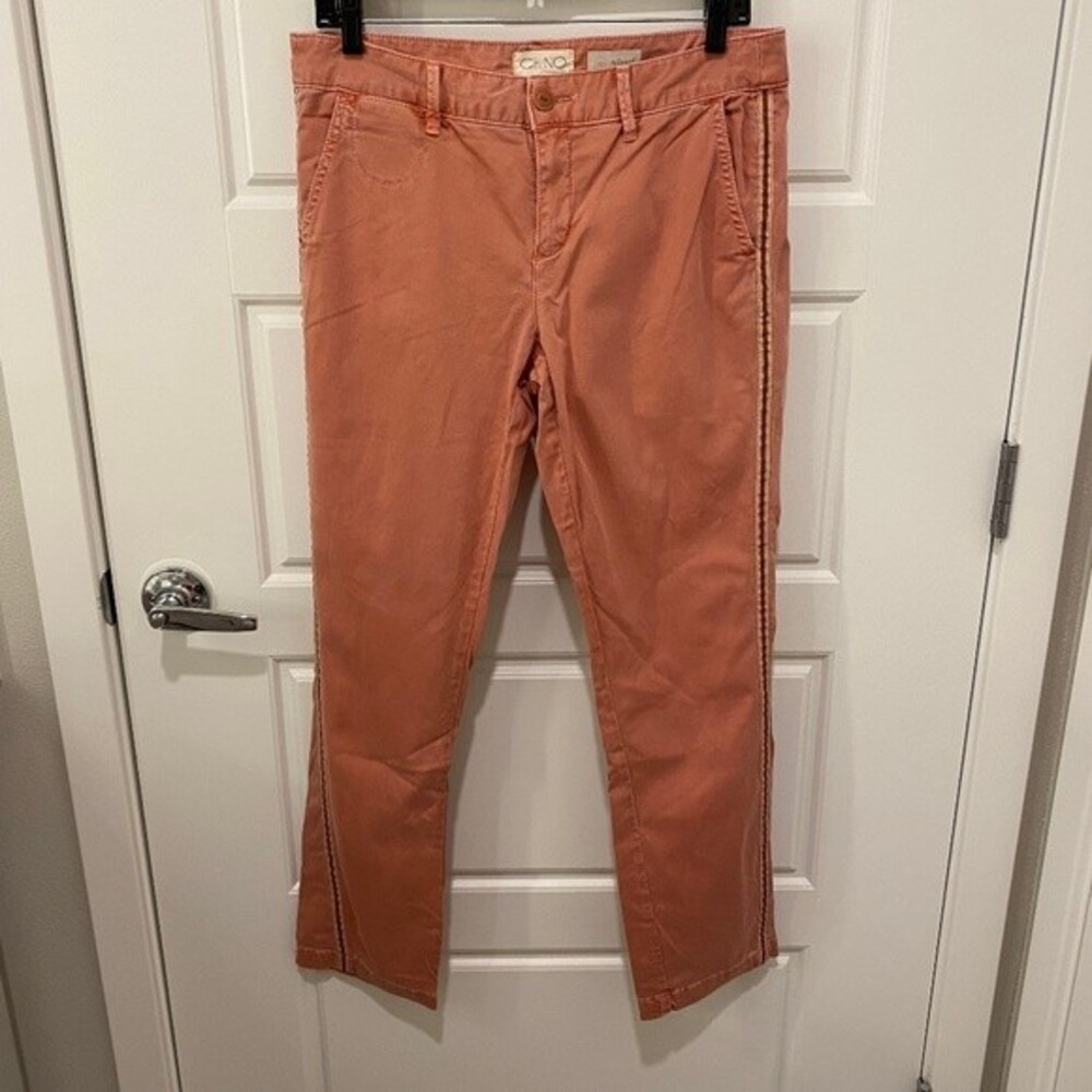 Chino by Anthropologie Relaxed Straight Leg Striped Side Pants Faded Coral 28P